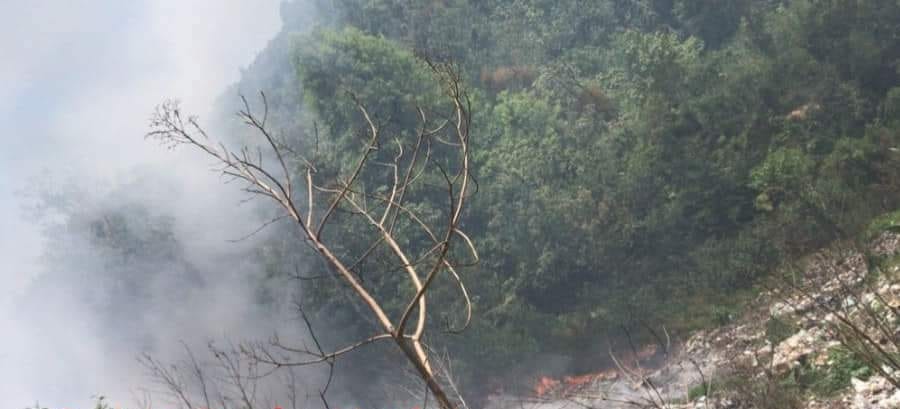 Brigadistas logran controlar incendio en Tlaola