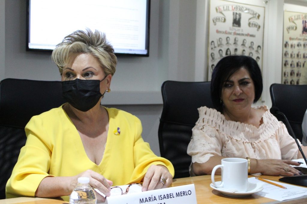 Aprueban en Comisión del Congreso Iniciativa para evitar que niegue el acceso a establecimientos a personas con discapacidad sensorial, acompañadas de perros de asistencia