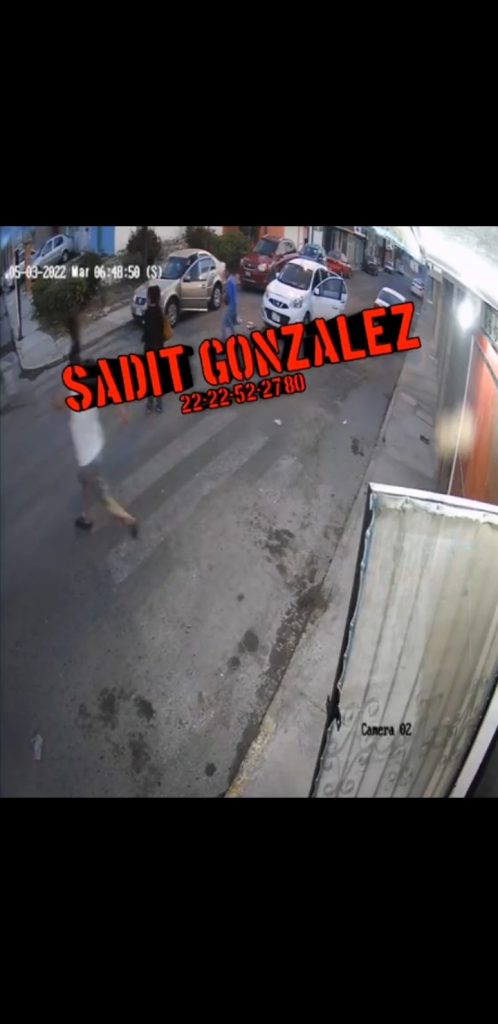 Video desde Puebla: En Tehuacán mujer abre su auto, pero encuentra a un ratero