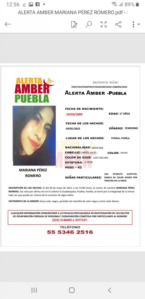 Alerta Amber por Mariana Pérez Romero