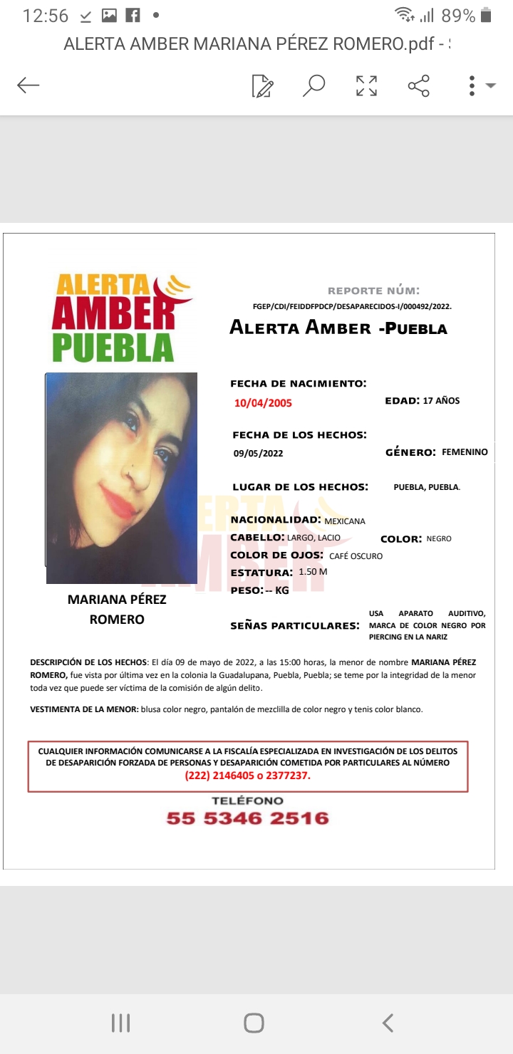 Alerta Amber por Mariana Pérez Romero