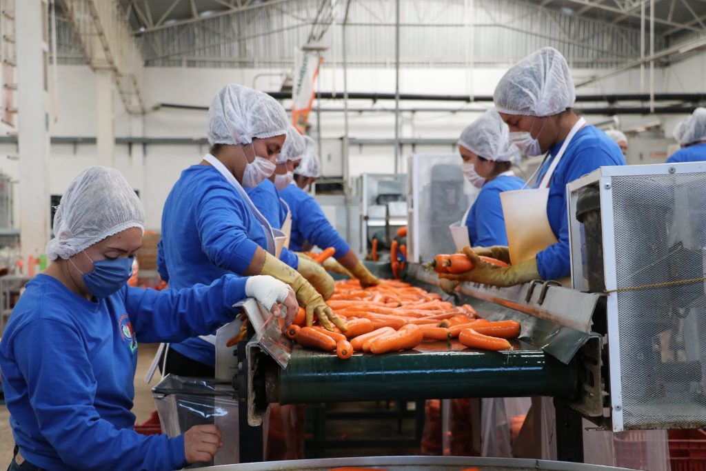 Crece empleo con seguridad social en Puebla