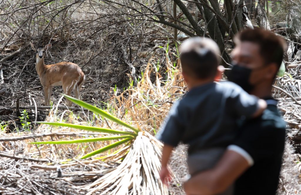 En Casa Puebla, SEDIF festeja a papás