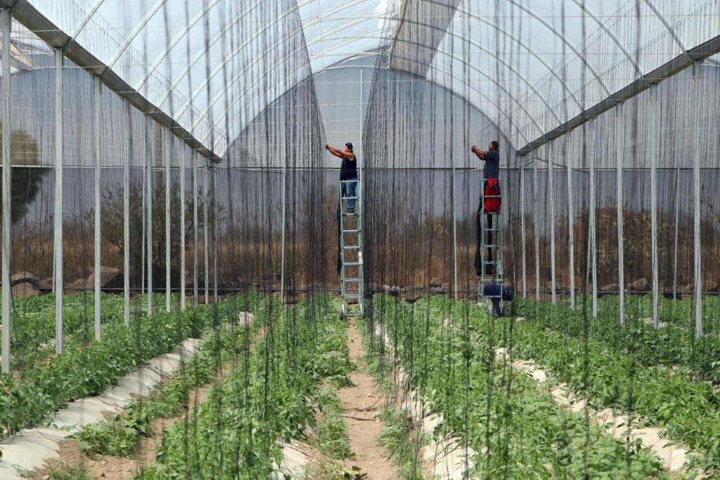 SDR impulsa créditos para 257 medianas empresas agroalimentarias