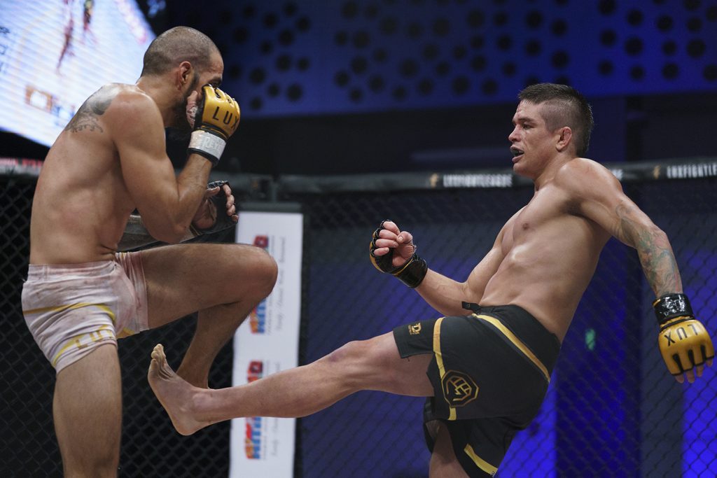 Encabeza Beltrán vs Rubio por título gallo LUX 023 en Puebla