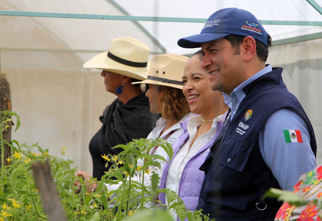 Logran beneficiarias de programa Alimentario segunda cosecha de verduras en Tetela: Bienestar