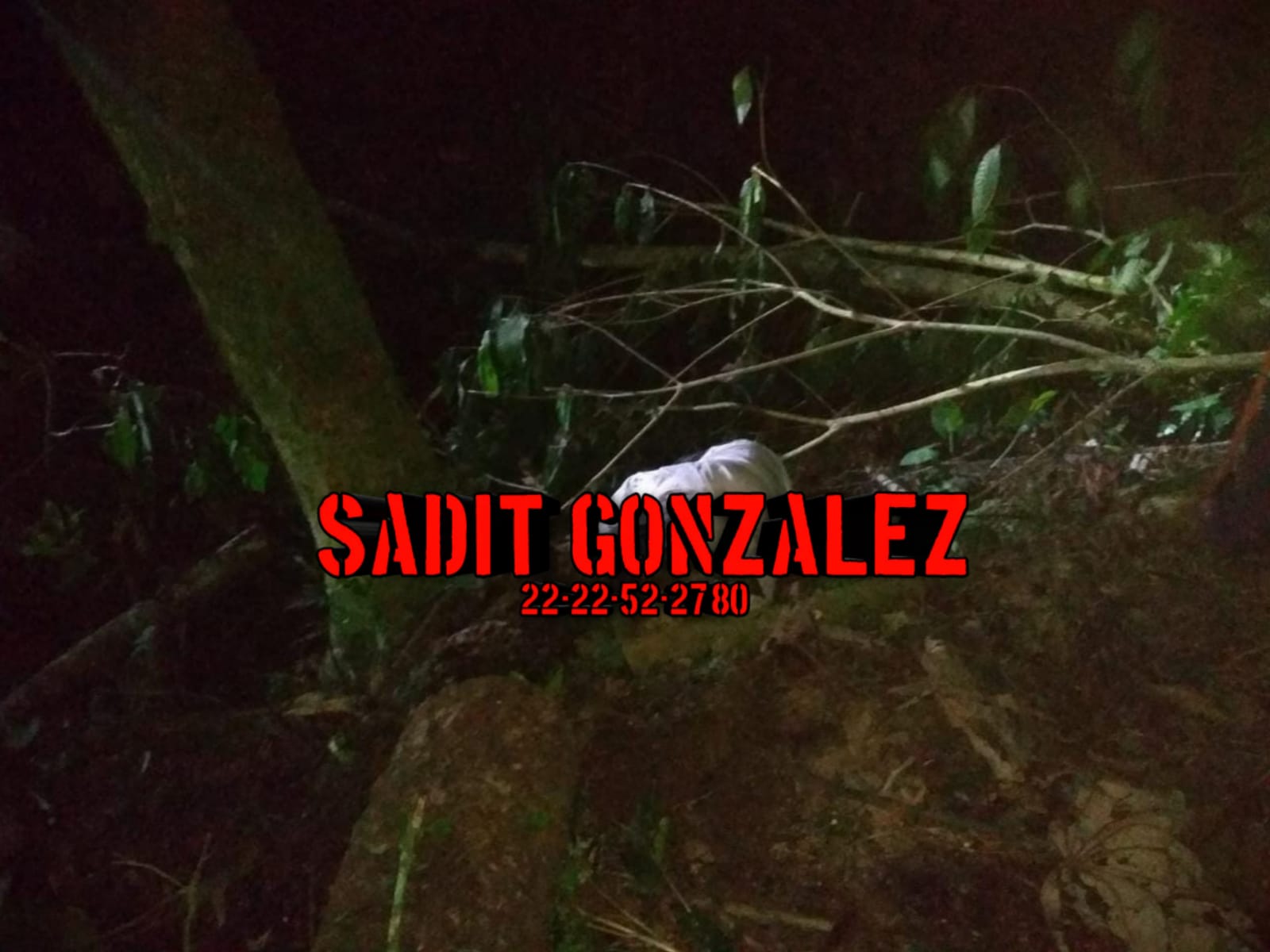 Muere hombre aplastado por un árbol en Hueytamalco