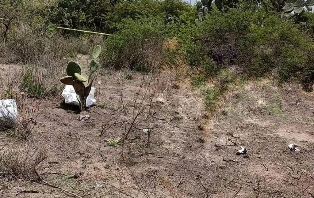 Encuentran cadáveres de hombre y mujer en Tlapanalá