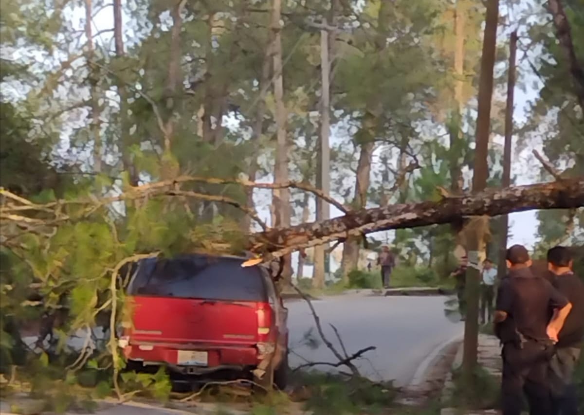 Desde Huauchinango: Árbol cae sobre camioneta y tira cables eléctricos