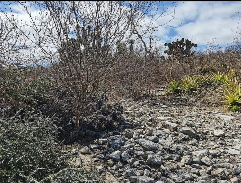 La asesinaron y tiraron a un basurero en Chiautla de Tapia