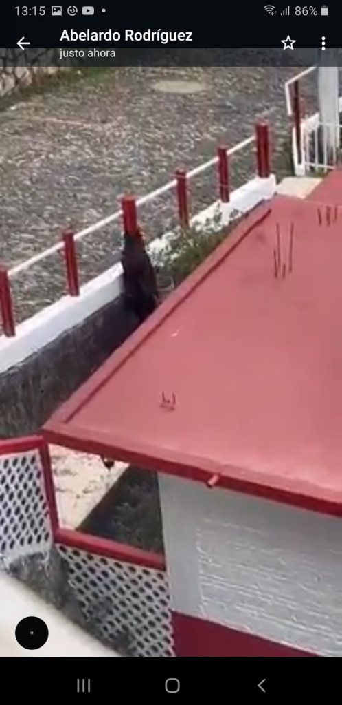 Desde Huauchinango: Graban un robo a casa habitación más