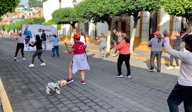 Promueven adopción de perros en Tlaxcala capital