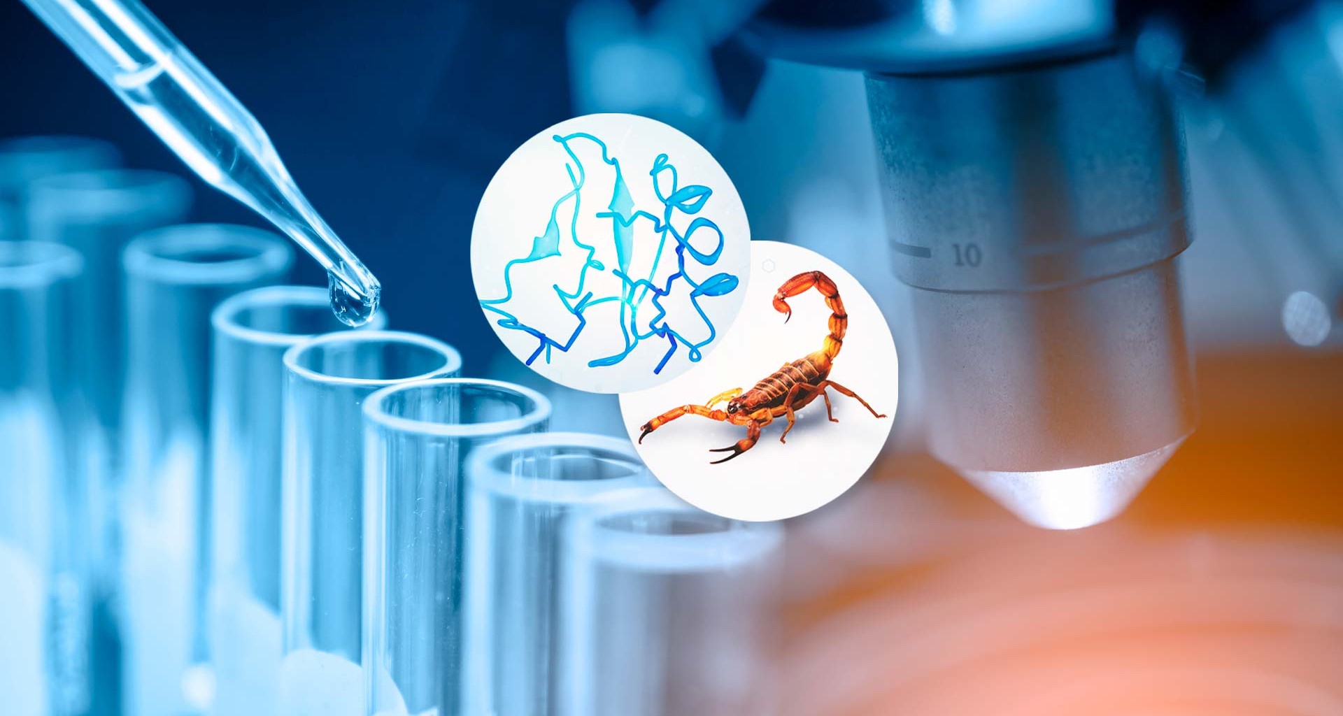 Investigadores del Tec y LifEscozul desarrollan una alternativa  para tratar el cáncer con veneno de escorpión azul