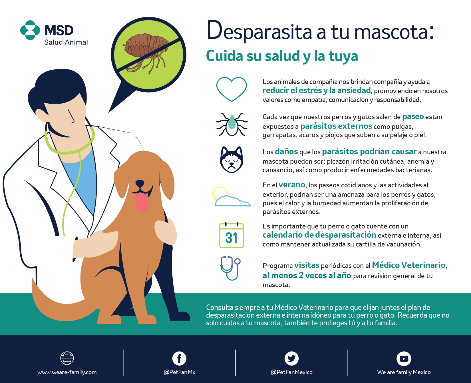 Temporada de calor: ¿cómo prevenir pulgas y garrapatas en nuestras  mascotas?