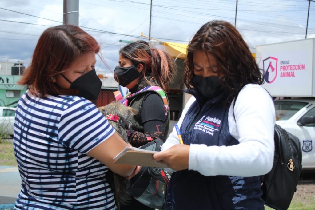 Ayuntamiento de Puebla vacuna y esteriliza mascotas en la Rivera Anaya