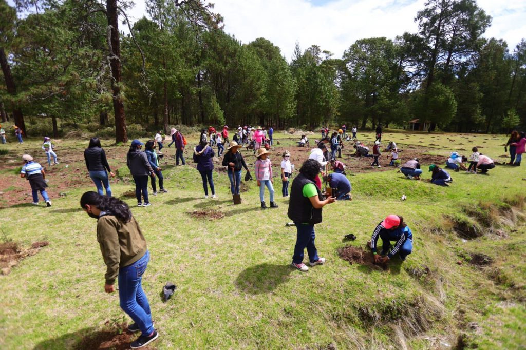 Lorenzo Rivera encabeza programa de reforestación de Chignahuapan
