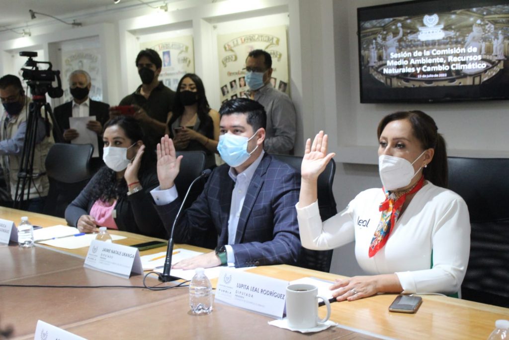 Comisión del Congreso avala iniciativas a favor del medio ambiente, en materia de reforestación y cuidado del agua