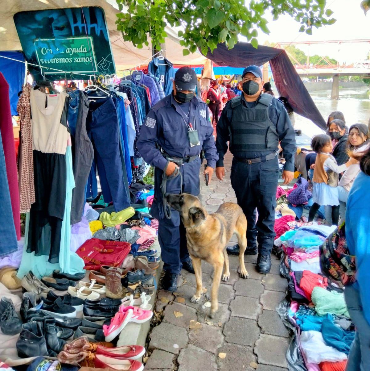 Agrupamiento Canino K9 aporta a la seguridad en el Tianguis Sabatino de la Capital