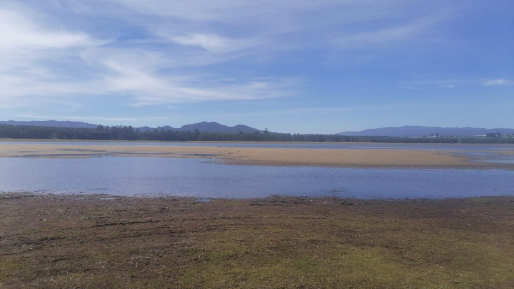 Por sequía agoniza la Presa El Tejocotal