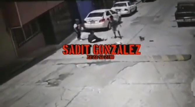 Pit Bull ataca a una mujer en Puebla y la deja gravemente lesionada
