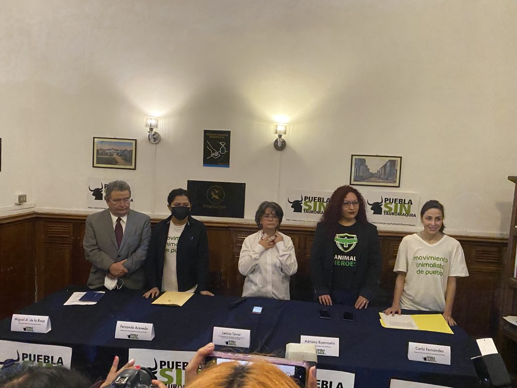 Pide movimiento animalista que el congreso legisle contra las corridas de toros