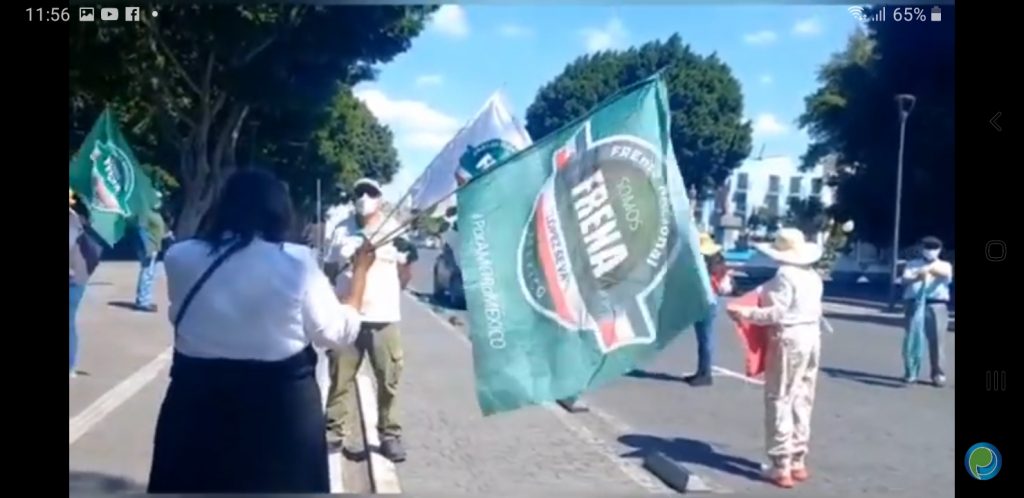 Video desde Puebla: Integrantes de Frena se manifiestan
