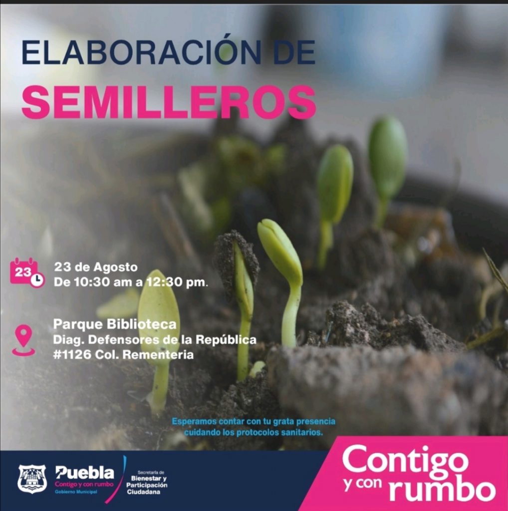 Ayuntamiento de Puebla ofrece talleres de agricultura urbana