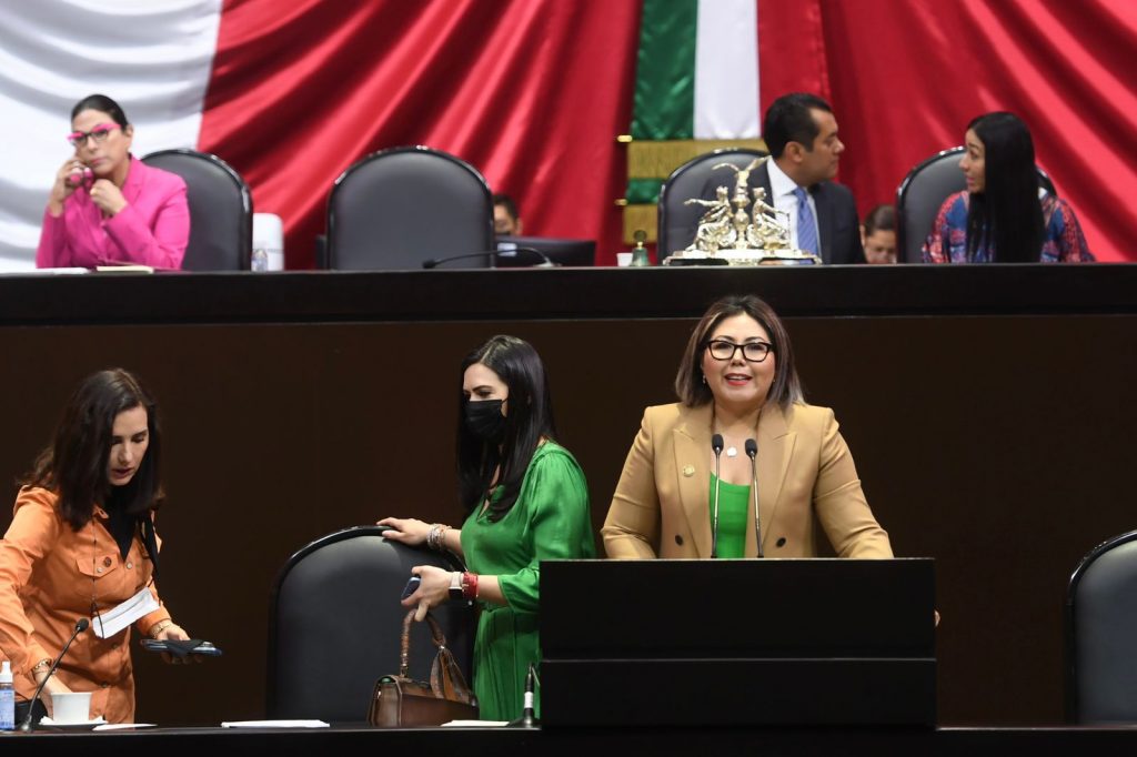 Que se garanticen lugares de estacionamiento exclusivos para vehículos eléctricos e híbridos: Genoveva Huerta