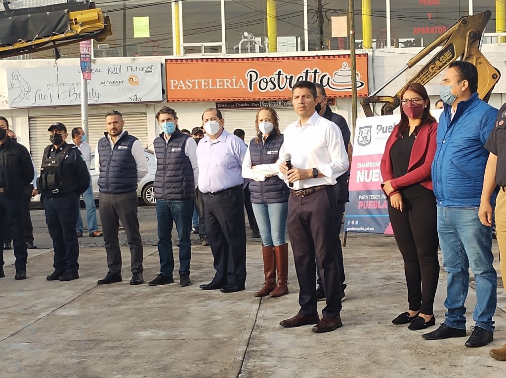 Bardas y palmeras derrumbadas, saldo de la tromba del domingo