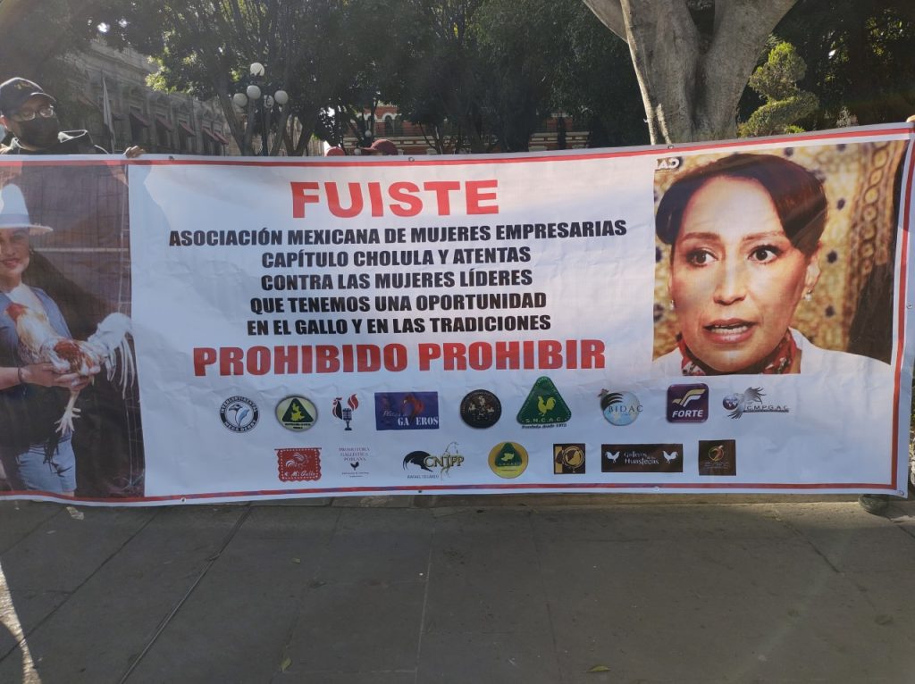 Video desde Puebla: Con manifestación defienden peleas de gallos