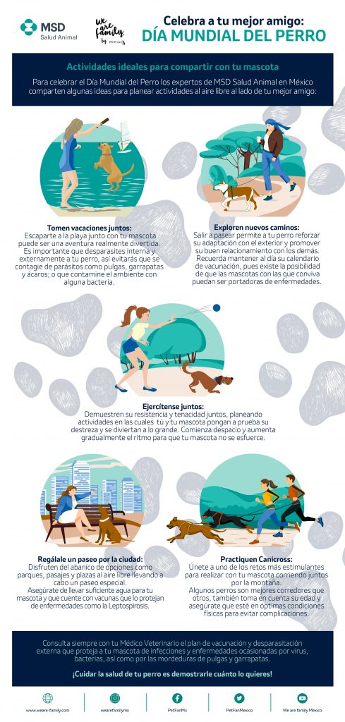 Actividades ideales para compartir un gran momento  junto a tu perro