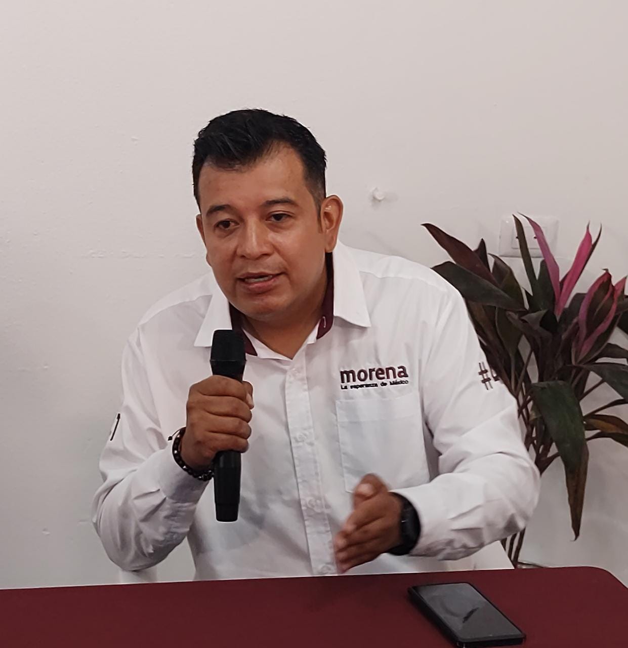Dirigente de Morena pide analizar perfiles de quienes sean candidatos ciudadanos