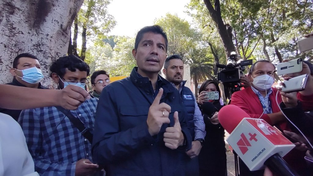 Video desde Puebla: Por presentar riesgo a la población, gobierno municipal derribará 5 árboles en el zócalo