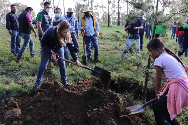 Encabeza Paola Angon jornada de reforestación en el cerro Zapotecas