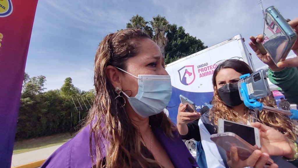 Sube la violencia contra las mujeres por falta de dinero, advierte el Smdif