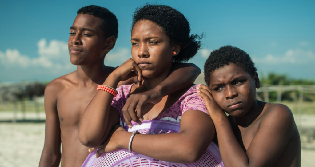 La mirada indígena y afrodescendiente en el México contemporáneo