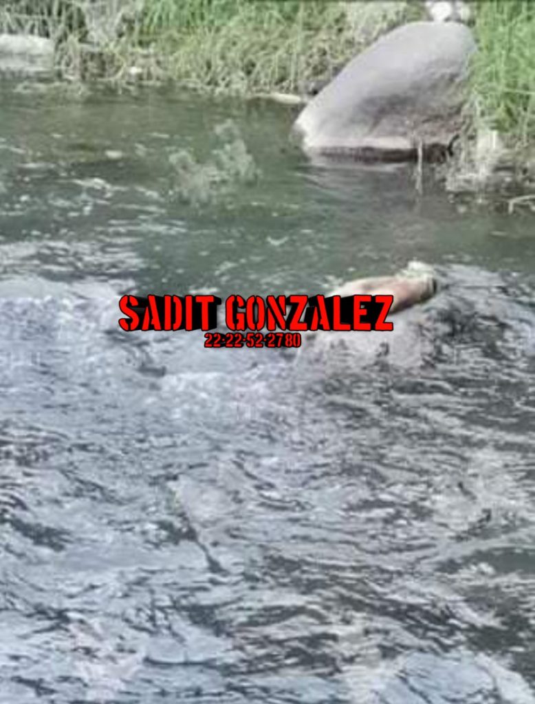 Menor encuentra dos extremidades humanas en río de Izúcar 