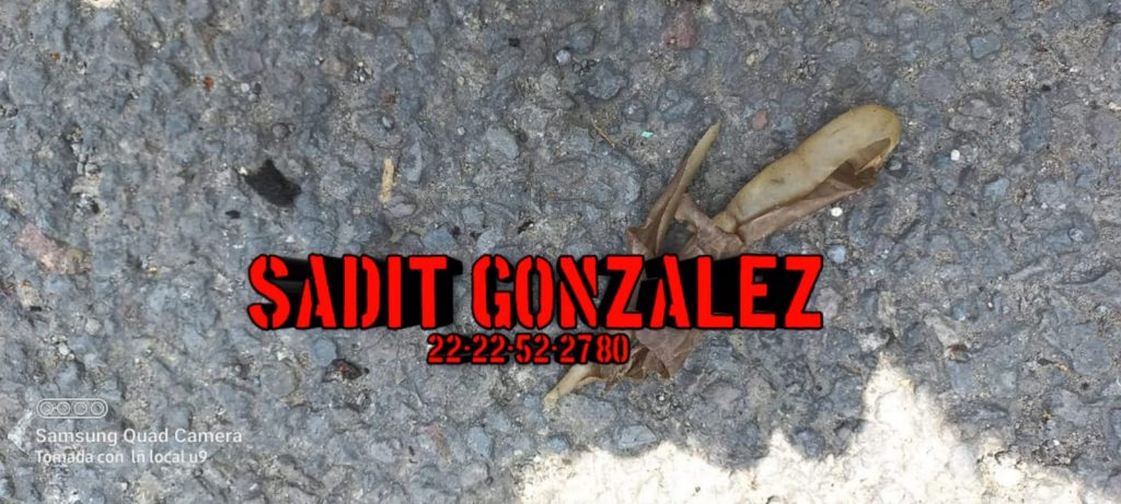 Video desde Puebla: Explota toma clandestina y deja 7 lesionados en Cuautlancingo