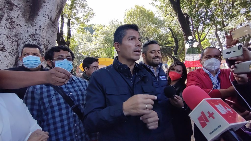 Comuna sustituirá los árboles derribados en el zócalo por otros de menor tamaño