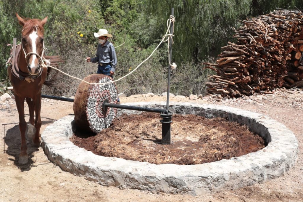 Para impulsar la industria de esta bebida artesanal, SDR presenta la Ruta Agroturística de Mezcal