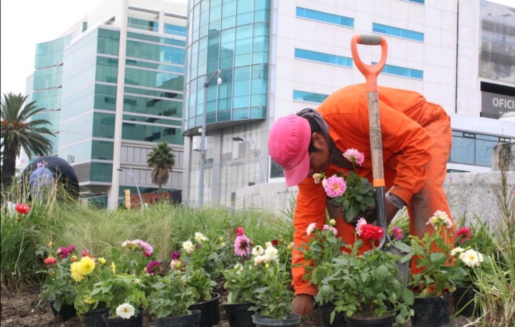 Con visión ambiental el ayuntamiento de Puebla remodela la avenida Juárez 