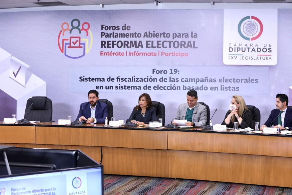 Reforma Electoral del Ejecutivo presenta deficiencias e inconsistencias: diputada priista Blanca Alcalá