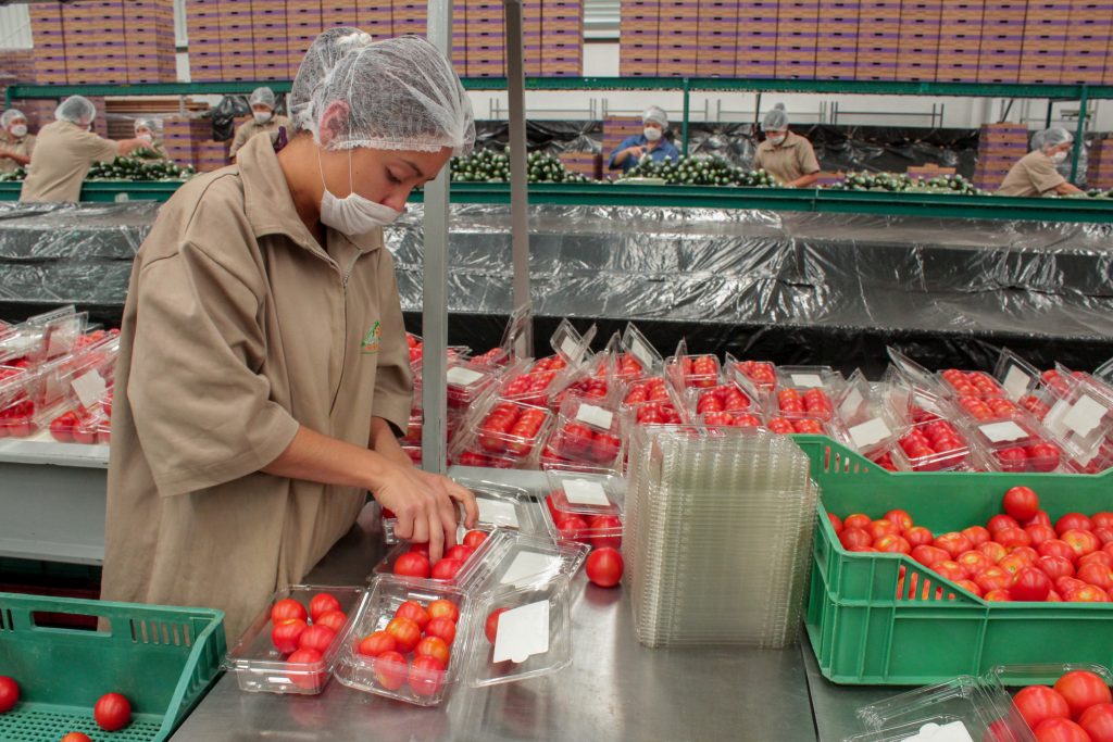 En agosto 2022, Puebla registra mejor nivel en empleos con seguridad social: Economía