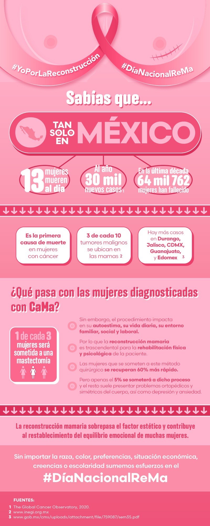 1 de cada 3 mujeres diagnosticadas con cáncer de mama será sometida a una mastectomía y, solo 5% tendrá acceso a una reconstrucción mamaria