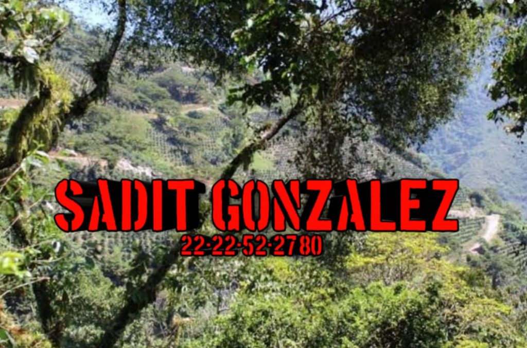 Asesinan a ex policía estatal y lesionan a sus hijos cuando trabajaban la tierra en Xicotepec