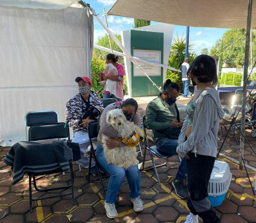 Esterilizan mascotas en San Pedro Cholula