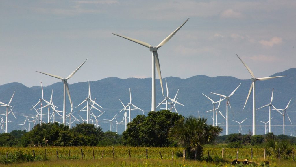 Victoria legal para comuneros de unión Hidalgo fija precedente para la defensa de la tierra y territorio contra abusos de parques eólicos
