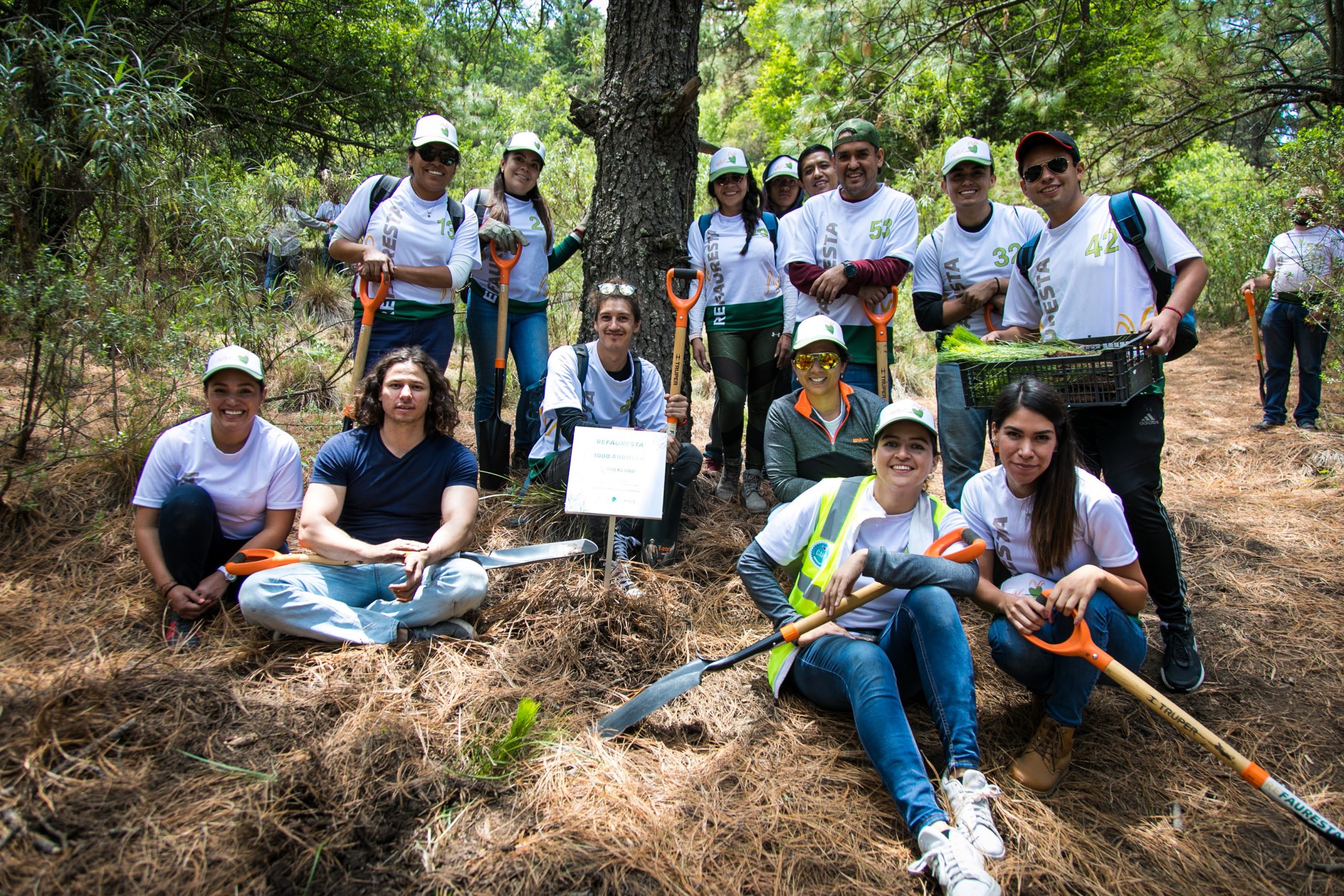 ¡Llegamos a la meta! Refauresta alcanza el sueño de plantar 12 mil árboles en Puebla durante su primer año de operaciones!
