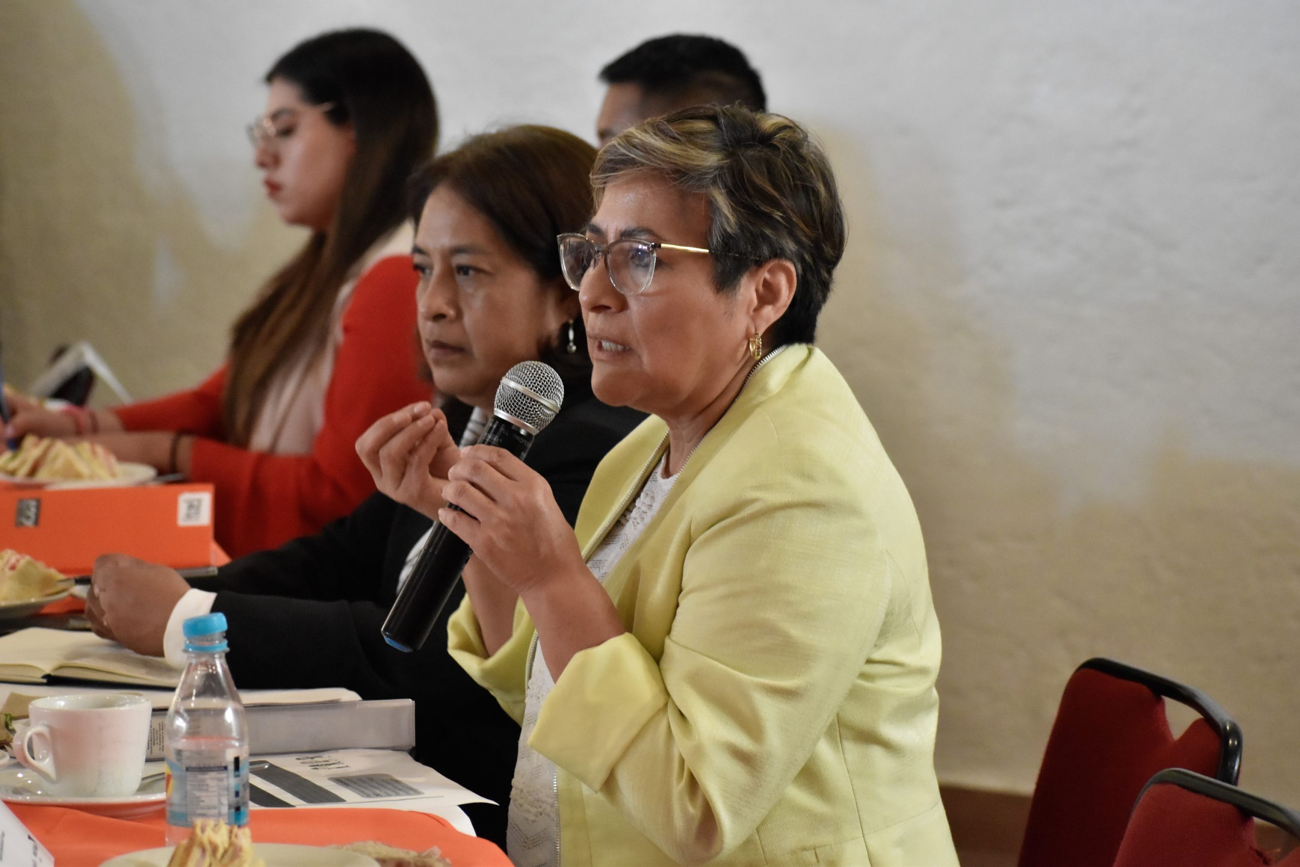 Presenta SIPINNA Puebla acciones en materia de prevención del trabajo infantil