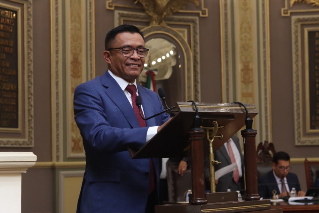 Promueven en el Congreso Iniciativa para evitar el sacrificio de animales abandonados